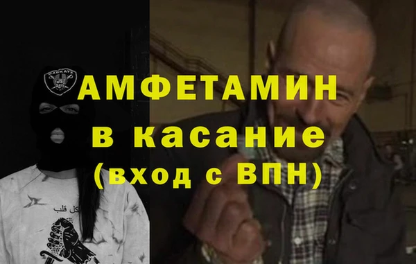 шишки Белокуриха