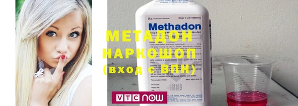шишки Белокуриха