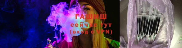 шишки Белокуриха