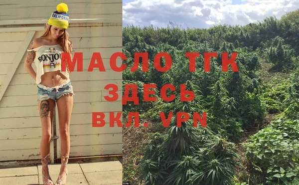 шишки Белокуриха