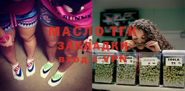 шишки Белокуриха